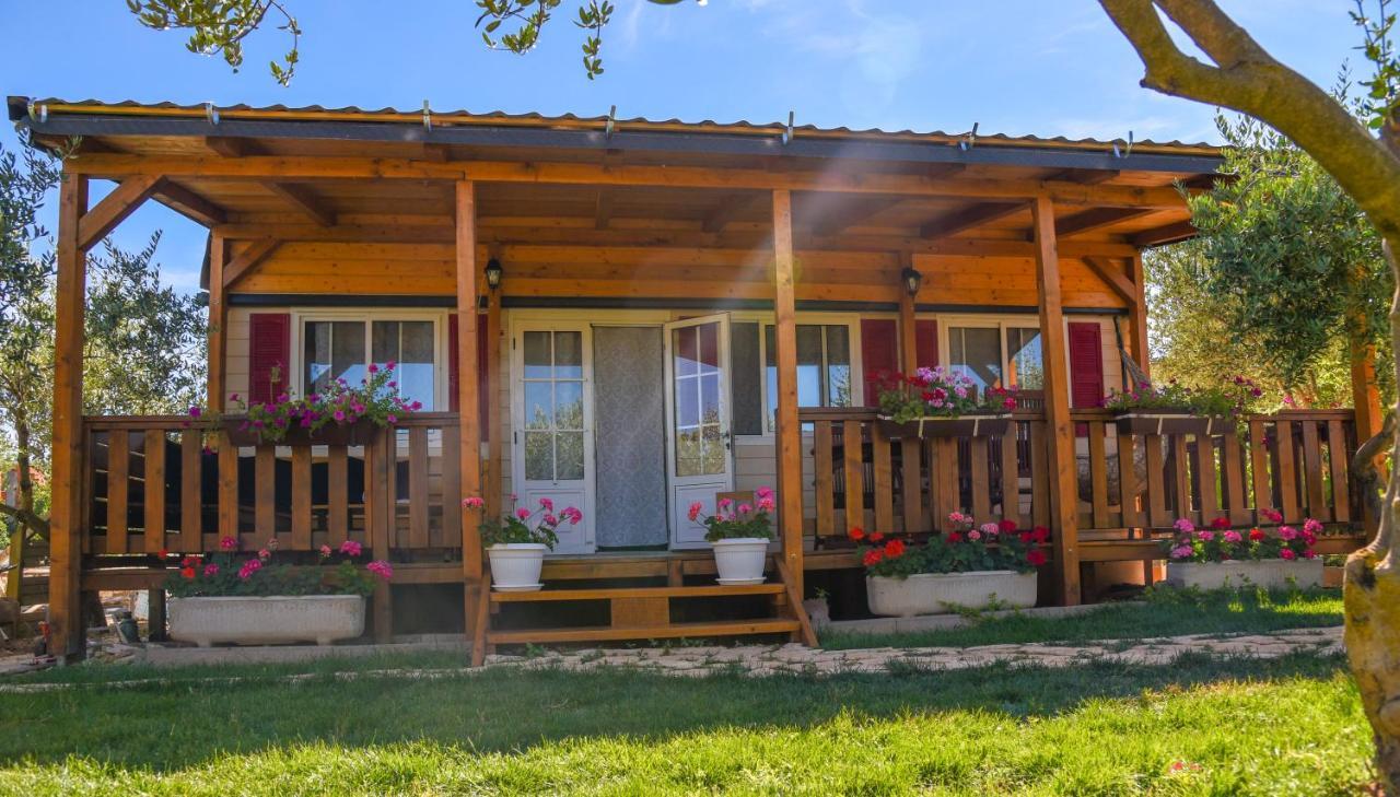 Villa House Matea à Bilice Extérieur photo