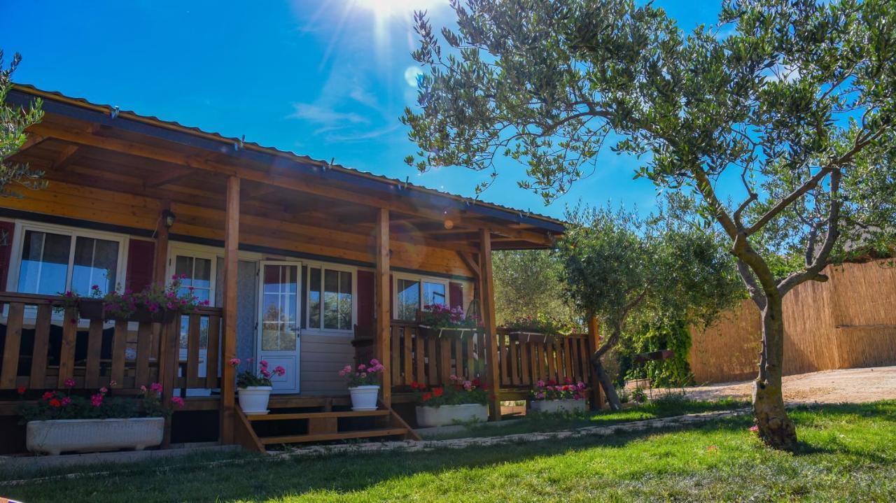 Villa House Matea à Bilice Extérieur photo